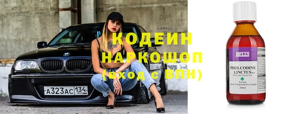 ПСИЛОЦИБИНОВЫЕ ГРИБЫ Ельня