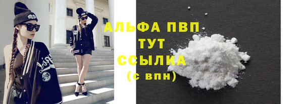 ПСИЛОЦИБИНОВЫЕ ГРИБЫ Ельня