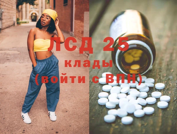 ПСИЛОЦИБИНОВЫЕ ГРИБЫ Ельня