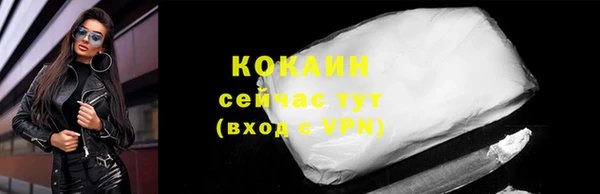 ПСИЛОЦИБИНОВЫЕ ГРИБЫ Ельня