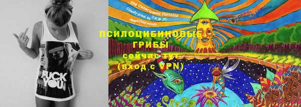 мдма Елизово