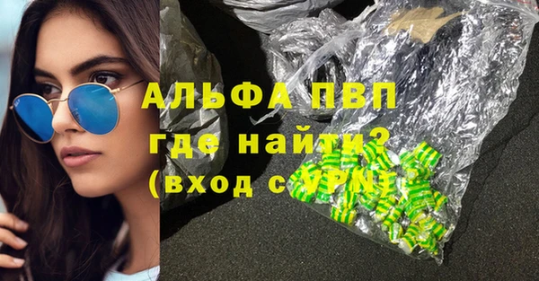 ПСИЛОЦИБИНОВЫЕ ГРИБЫ Ельня