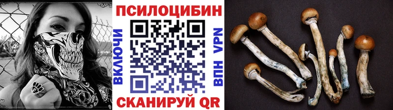магазин    Иннополис  Галлюциногенные грибы Psilocybine cubensis 